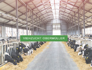 Demo Viehzucht Obermüller