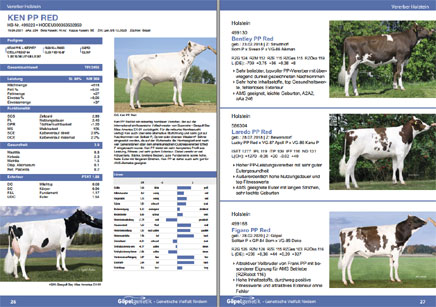 Göpel Genetik Bullenkatalog 2024 - verschiedene Innenseitenlayouts